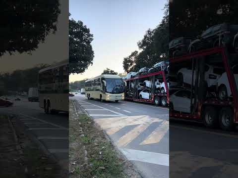 Ribeiro Turismo 2380 #onibus #laranjal #viralshorts