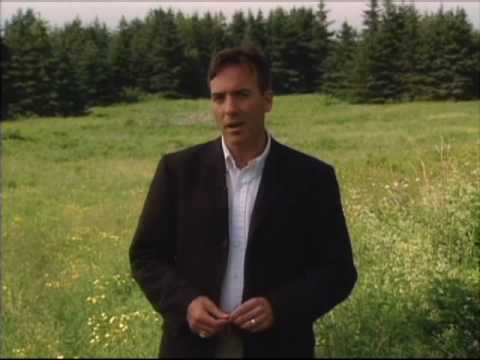 MacKinnon's Brook Suite - Intro