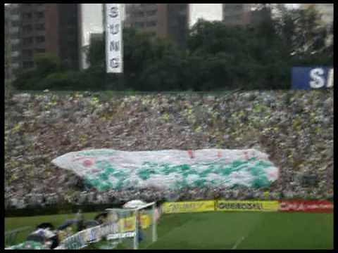 Palmeiras 4 x 1 Santos - Paulista 2009 - Tv Alviverde