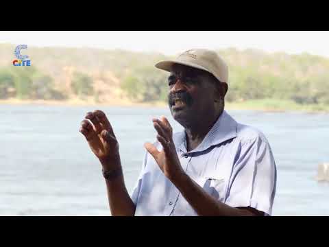 Rtd Col Watson Tshipa Reveals What Really Happened to ZPRA Commander Nikita Mangena