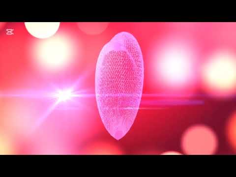 Henree feat Ella- Where Did Your Heart Go?