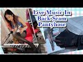 Saturday Night Live In Lace Back Seam Pantyhose Nylons Tights Hosiery Legs Feet Soles Toes Wiggle