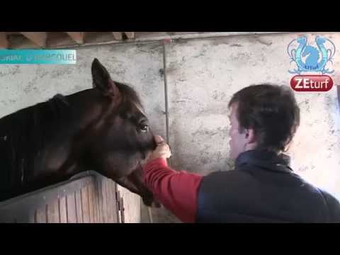 Tour de Cour chez Pierre Yves VERVA (Part1) et vaste débat sur les engagements... - A2TURF.COM