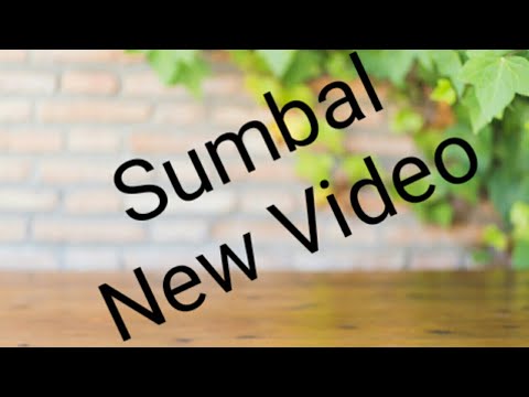 Sumbal New Song Release 14th August 2019