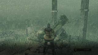 Ds2. First Playthrough... The pain train continues T_T