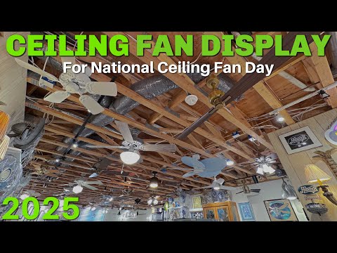 Ceiling Fan Display 2025 | #NCFD