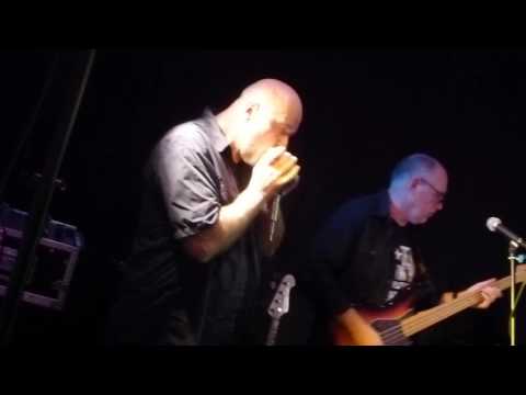 BLUE PACKET - Jungle Medley