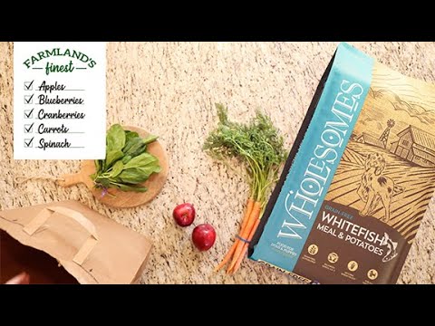Wholesomes Dog Food
