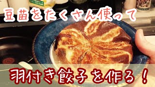 第二弾！【豆苗料理】豆苗を使って羽根つきの餃子を作ってみた！