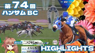 【ダビスタ２】第74回ハンサムBCハイライト
