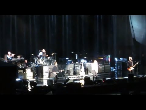 Vídeo I Wanna Be Your Man