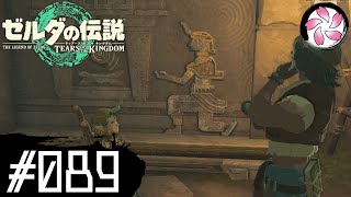【ティアキン＃89】凡人が行く龍泪旅