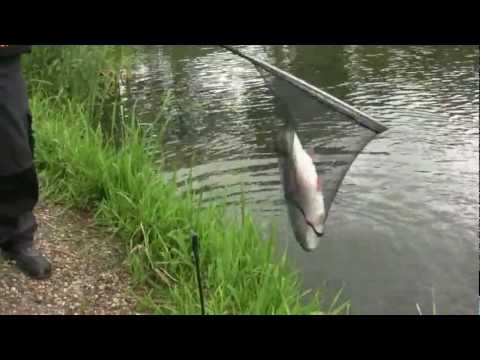 Forellen schleppen mit Sbiro und Pilotkugel