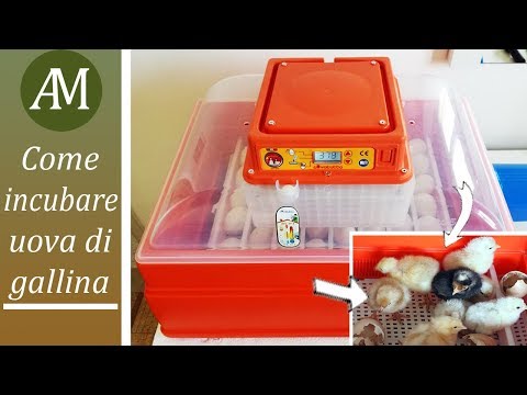 Dolci dolci parole per eccitare donna Farmaci trattamento dellimpotenza