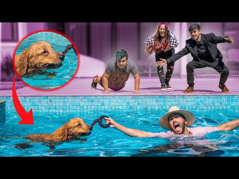 NOSSO CACHORRO SALVOU O TIO ZETO !! Família Malouca EP 31 ( WebSérie Maloucos )