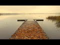 [AS BUMP] Bibio - Mirroring All