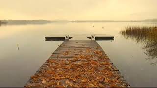 [AS BUMP] Bibio - Mirroring All