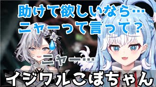 【過去配信】好きな子には意地悪したくなるこぼちゃん【ホロライブ / こぼかなえる / べスティア・ゼータ / 和訳切り抜き】
