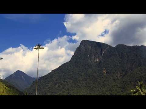 (5) Quinto Paso - Narcóticos Anónimos