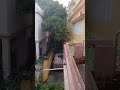 Kanare Kuhana Song