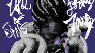 Life of Sins - Young Thug (432 hz)