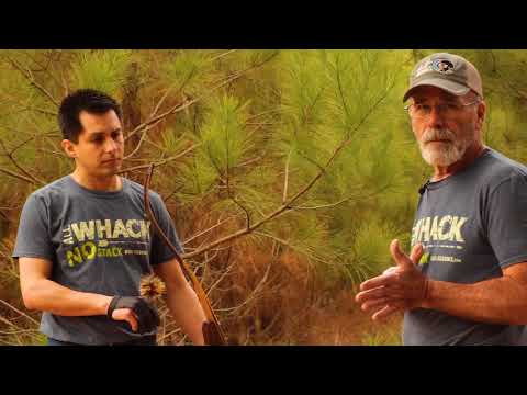 Rob Lee's Preferred Method for Measuring Draw Length