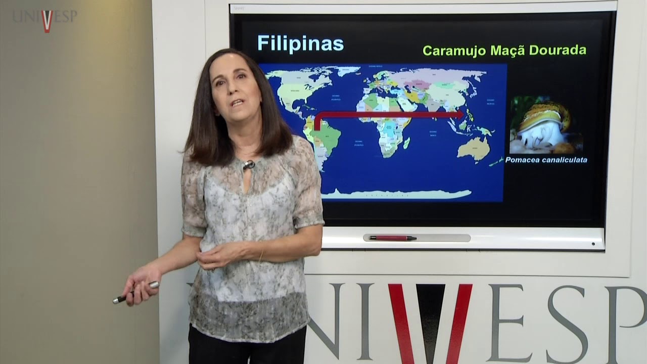 Ecologia - Aula 13 - Degradação Ambiental
