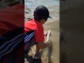 Video Thumbnail for His 1st lake sturgeon  #short #fishing #subscribe #shorts