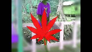 Download lagu LAGU-ACARA-REGGAE-{DUGEM PARTY}-TERBARU -REMIX-2020-2021 mp3 Download lagu LAGU-ACARA-REGGAE-{DUGEM PARTY}-TERBARU -REMIX-2020-2021 mp3