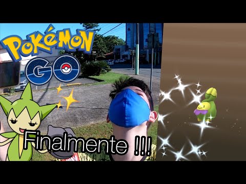 Dia da comunidade da Roselia !! Finalmente consegui meu baby shiny !!! — Pokémon go