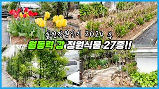 추운 홍천에서 거뜬히 월동을 하는 정원식물 27종 한번 키워보세요!! 홍천정원일기 2024 봄!!