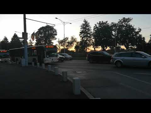 Autobuzele Mercedes-Benz Citaro Euro 3 #4390 și Euro 4 #4999 in zona Piata Leul (336, 136).