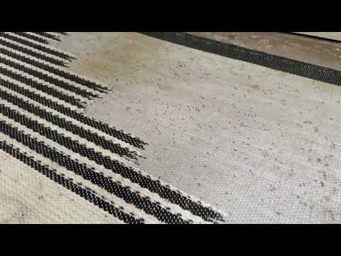 Ants Hiding Under the Balcony Mat in West Long Branch, NJ