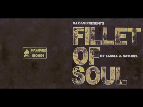 Dj Cam - Tassel & Naturel Fillet Of Soul - Manix (original)