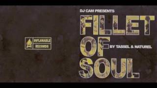 Dj Cam - Tassel & Naturel Fillet Of Soul - Manix (original)