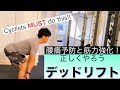 【サイクリングのための筋トレ紹介】デッドリフト(Deadlift)