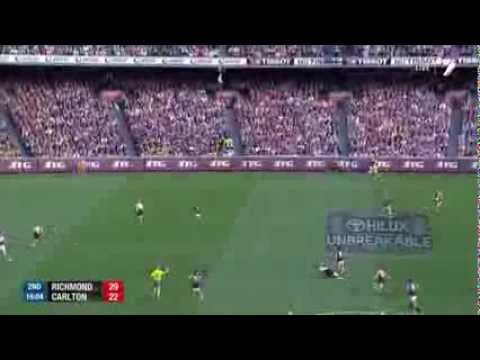 AFL Finals 2013 - Eight Big Plays - Richmond v Carlton