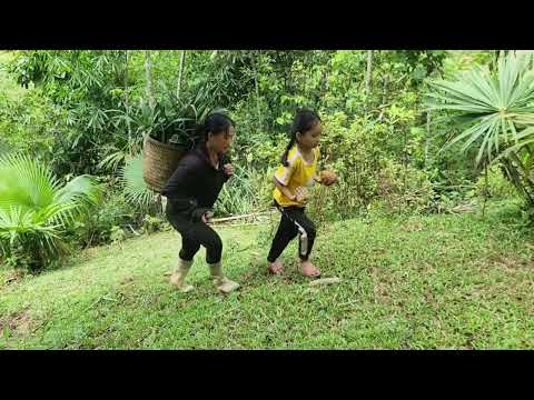 The girl picks pineapples and sells them to earn extra daily income in the countryside./ly sểnh