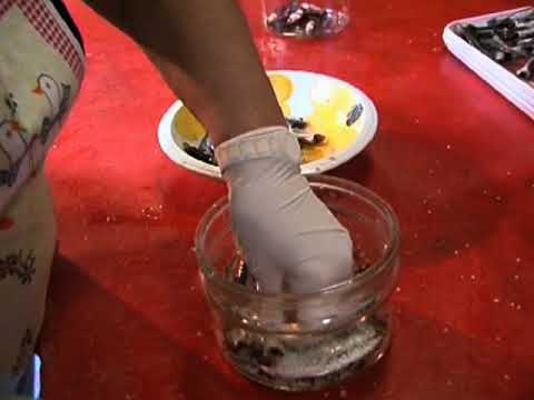 Fogola Giuliano - la salatura delle "Ancìue" - Riva Trigoso