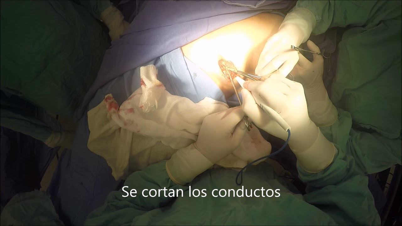 José De Jesús Zermeño Nava-17