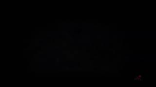 【仁王2β】木霊探し