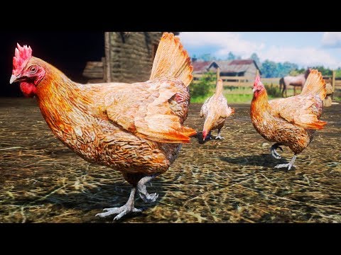 Chicken Run! Fighting for Survival! Coyotes | Red Dead Redemption 2: Animals Mod | PT/BR