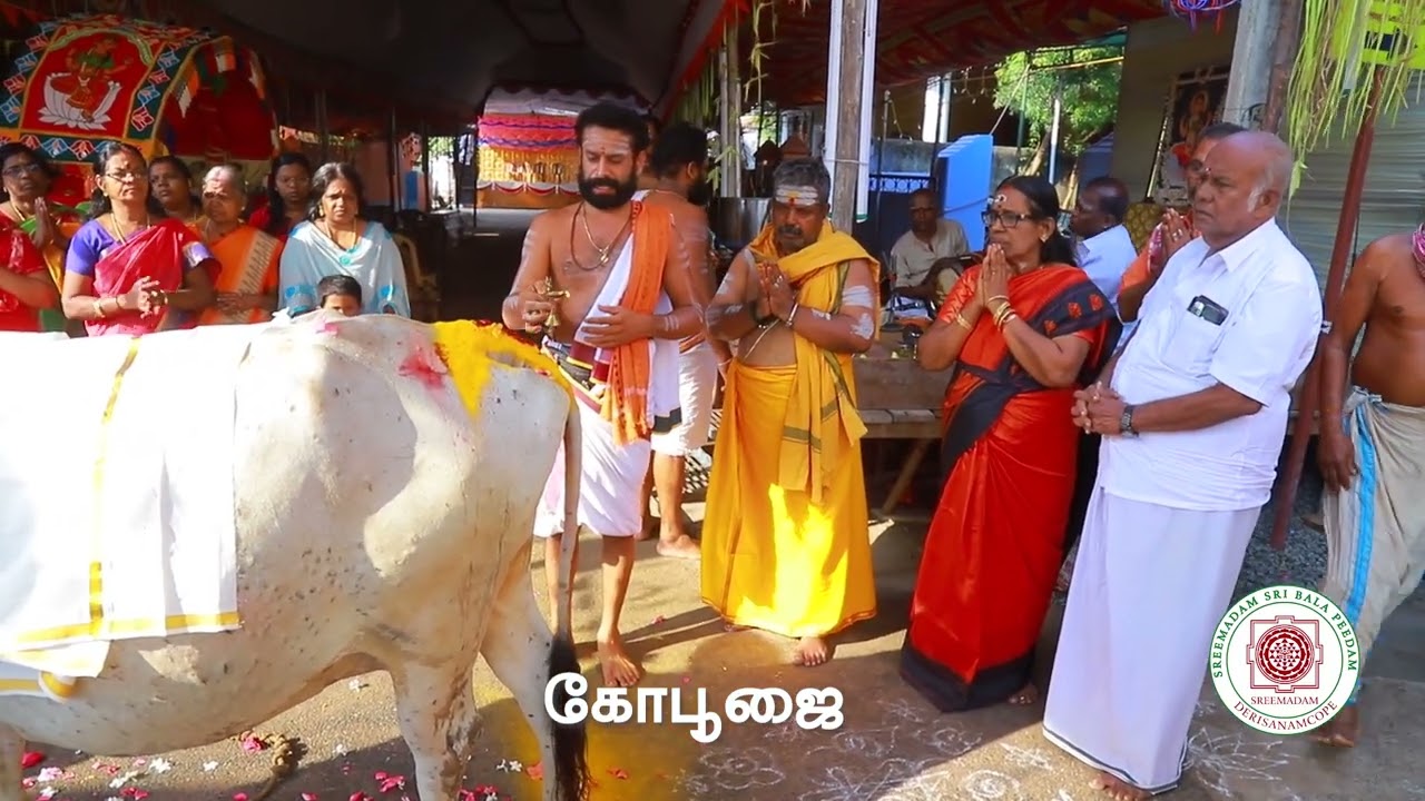 Go Pooja During Sadguru Sri SadaSiva Brahmendral Aarathanai