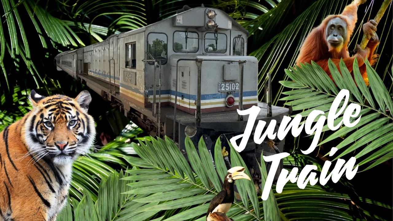17 Hours Adventure on Malaysia’s Jungle Train !