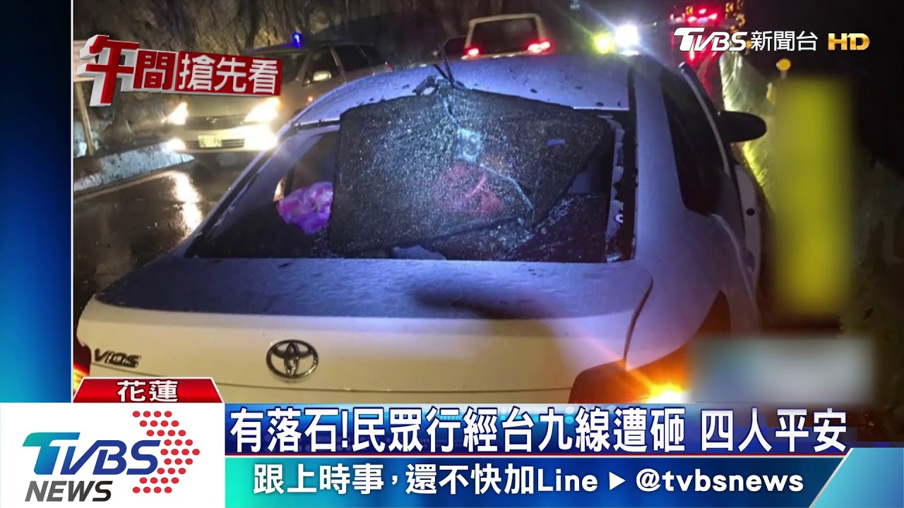 眼前一片黑！路樹倒下砸跑車　駕駛嚇傻