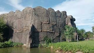 River Safari Nam Hội An #views #travel #namhoian#vinwonder