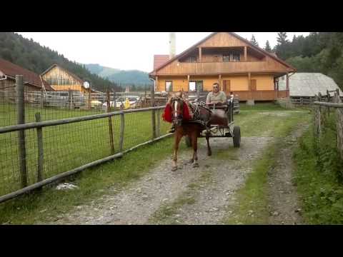 Pensiunea Valea Mariilor   O plimbarea cu caleasca