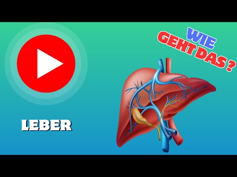 Wie funktioniert die LEBER