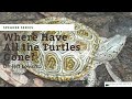 Where Have All The Turtles Gone
