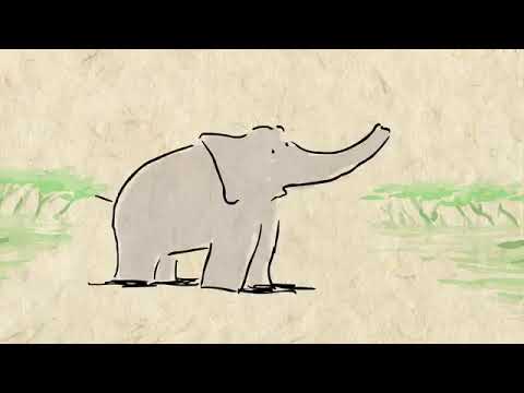 Why elephants never forget   Alex Gendler